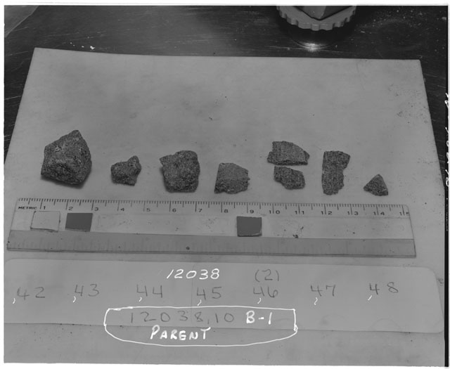 Black and white photograph of Apollo 12 Sample(S) 1203842-48; Processing photograph displaying a post cut group.