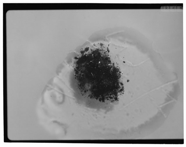 Black and white photograph of Apollo 12 sample 12033,91; Processing photograph displaying grain mount.