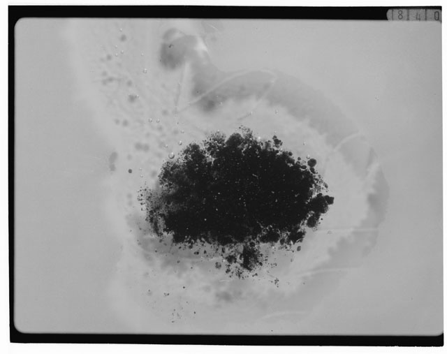 Black and white photograph of Apollo 12 sample 12001,113; Thin Section photograph displaying grain mount.