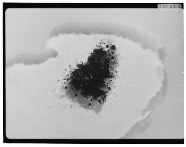 Black and white photograph of Apollo 12 sample 12033,89; Processing photograph displaying grain mount.