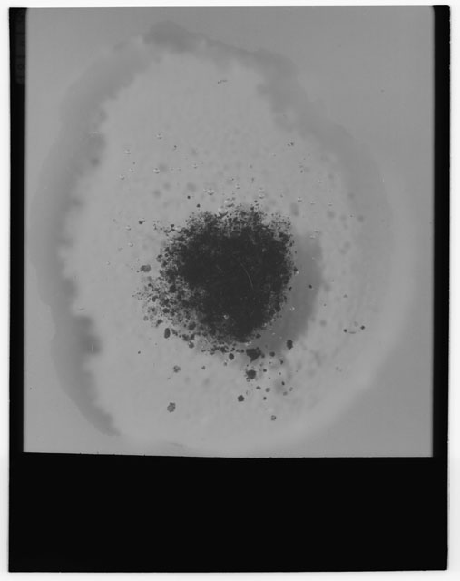 Black and white photograph of Apollo 12 Sample(S) 12057,83; Processing photograph displaying grain mount.