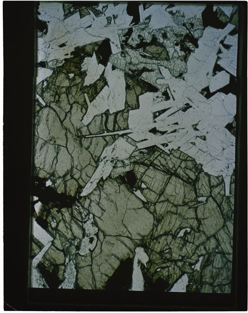 Color photograph of Apollo 11 Sample(s) 10044,51; Thin Section B photograph using transmitted light.