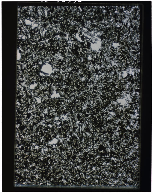 Color photograph of Apollo 11 Sample(s) 10049; Thin Section A photograph using transmitted light.