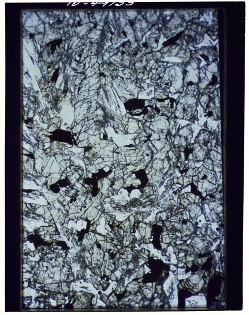 Color Thin Section photograph of Apollo 12 Sample(s) 12018,81 using transmitted light.