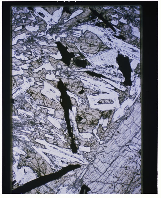 Color Thin Section photograph of Apollo 12 Sample(s) 12021,3 using transmitted light.