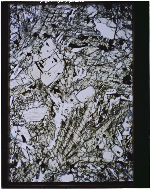 Color Thin Section photograph of Apollo 12 Sample(s) 12002,156 using plane-polarized light.