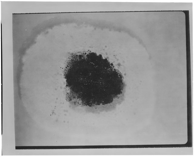 Black and white photograph of Apollo 12 sample 12001,110; Thin Section photograph displaying grain mount.