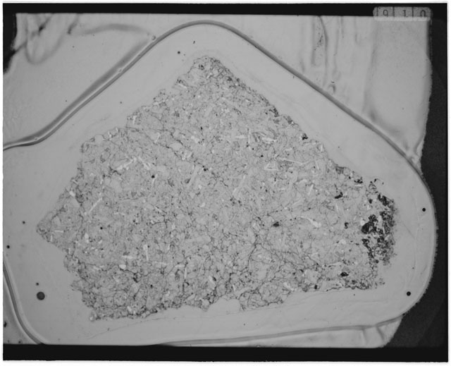 Black and white Thin Section photograph of Apollo 12 Sample(s) 12046,8 using cross nichols light.