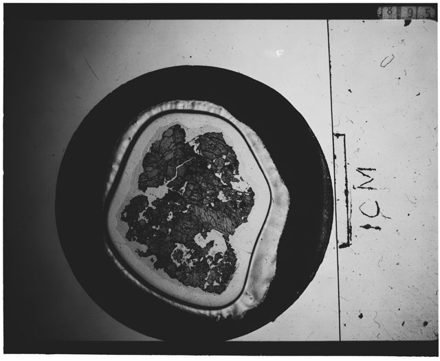 Black and white Thin Section photograph of Apollo 12 Sample(s) 12036,11 using cross nichols light.