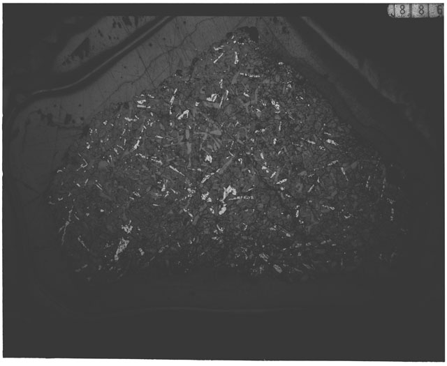 Black and white Thin Section photograph of Apollo 12 Sample(s) 12046,5 using transmitted light.