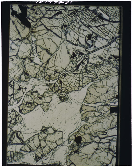 Color Thin Section photograph of Apollo 12 Sample(s) 12036,8 using reflective light.