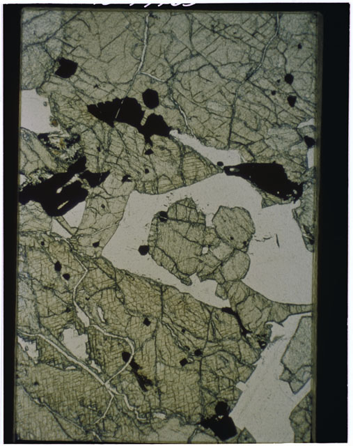 Color Thin Section photograph of Apollo 12 Sample(s) 12036,12 using reflective light.