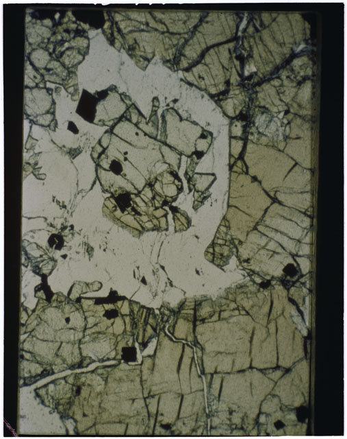 Color Thin Section photograph of Apollo 12 Sample(s) 12036,11 using reflective light.