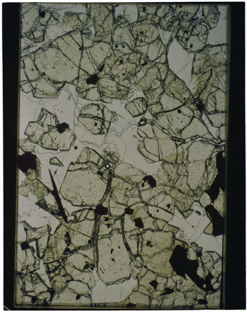 Color Thin Section photograph of Apollo 12 Sample(s) 12040,43 using reflected light.
