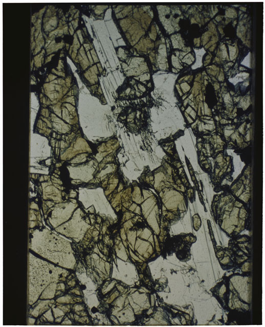Color Thin Section photograph of Apollo 12 Sample(s) 12040,46 using reflected light.