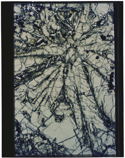 Color Thin Section photograph of Apollo 12 Sample(s) 12075,25 using transmitted light.