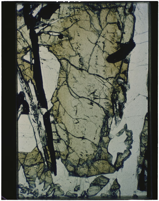 Color Thin Section photograph of Apollo 12 Sample(s) 12039,3 using transmitted light.