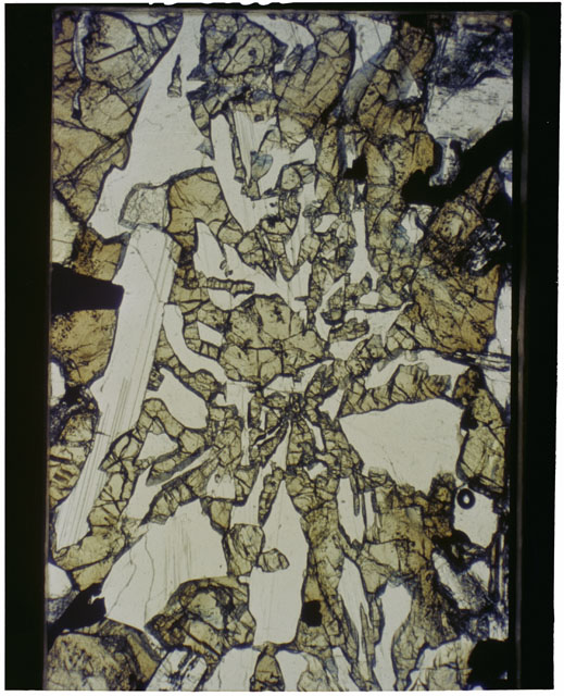 Color Thin Section photograph of Apollo 12 Sample(s) 12039,4 using transmitted light.