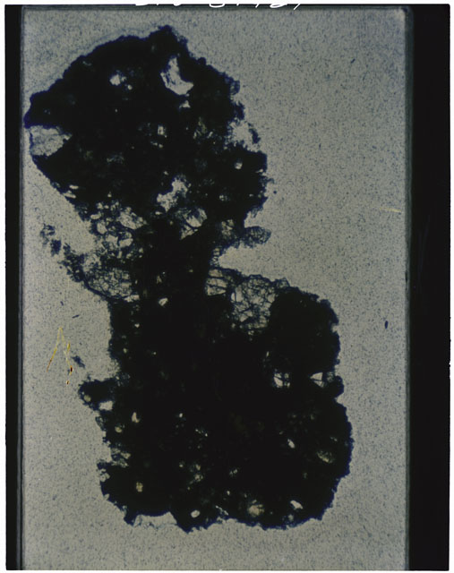 Color photograph of Apollo 12 sample 12070,160; Thin Section photograph displaying grain mount using transmitted light.