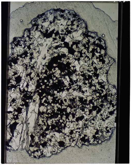 Thin Section photograph of Apollo 11 sample(s) 10046,47