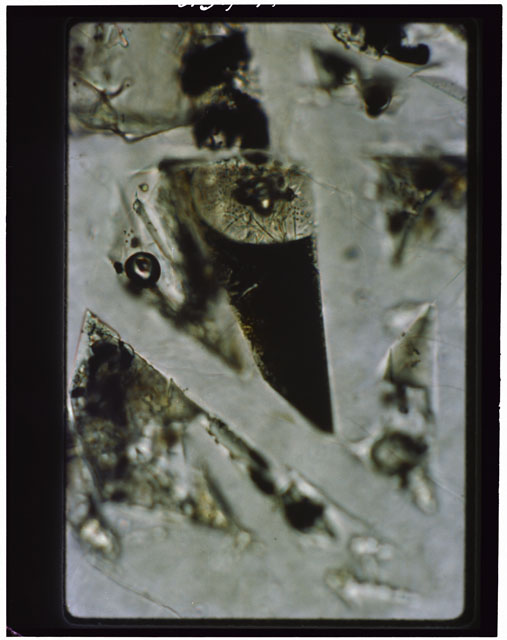 Color Thin Section photograph of Apollo 14 Sample(s) 14310,6 using cross nichols light at 40X magnification.