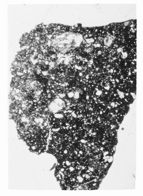 Black and white Thin Section photograph of Apollo 14 Sample(s) 14304.