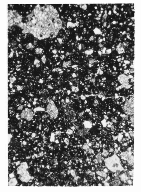 Black and white Thin Section photograph of Apollo 14 Sample(s) 14307,4 using transmitted light.
