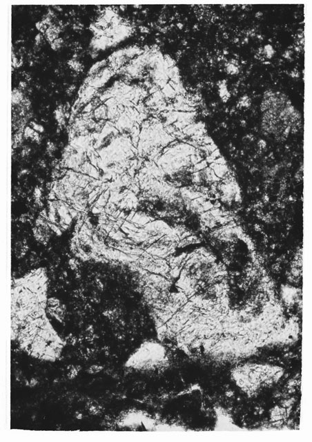Black and white Thin Section photograph of Apollo 14 Sample(s) 14307,3 using transmitted light.