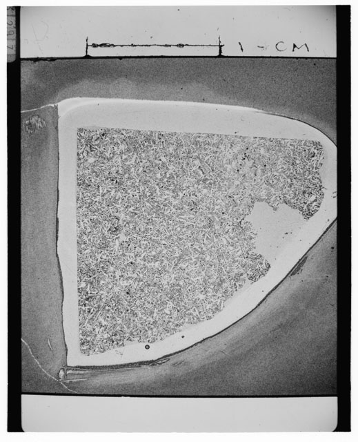 Black and white Thin Section photograph of Apollo 14 Sample(s) 14310,14.