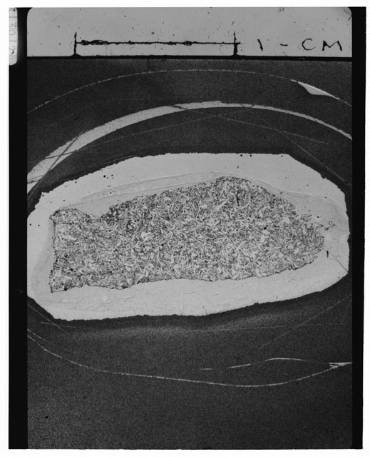 Black and white Thin Section photograph of Apollo 14 Sample(s) 14310,12.