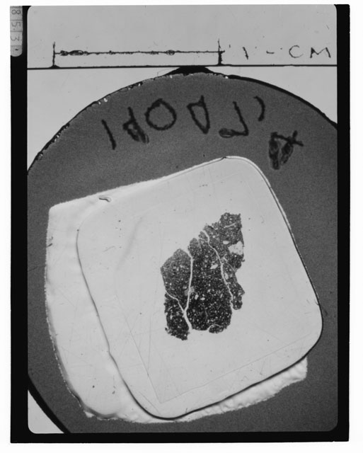 Black and white Thin Section photograph of Apollo 14 Sample(s) 14047,4.