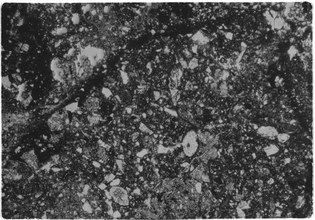 Black and white Thin Section photograph of Apollo 14 Sample(s) 14307,5 using transmitted light.