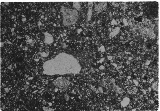 Black and white Thin Section photograph of Apollo 14 Sample(s) 14313,5.
