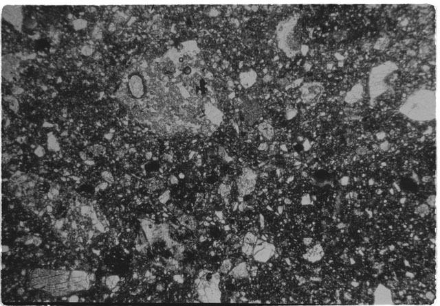 Black and white Thin Section photograph of Apollo 14 Sample(s) 14313,7.