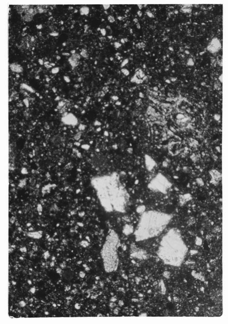 Black and white Thin Section photograph of Apollo 14 Sample(s) 14049,7.