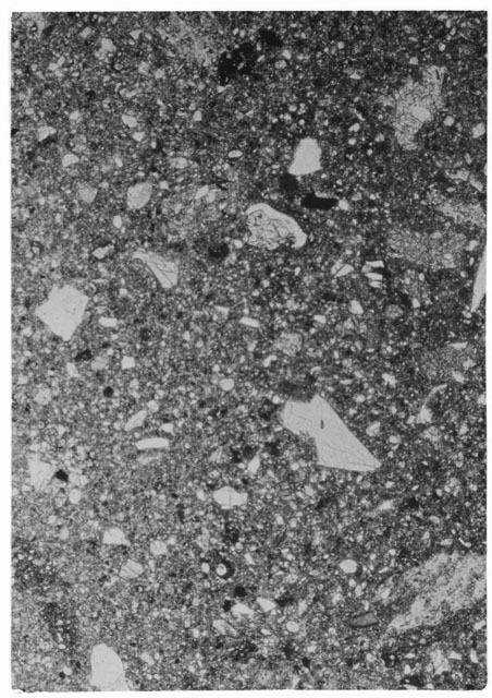 Black and white Thin Section photograph of Apollo 14 Sample(s) 14049,8.