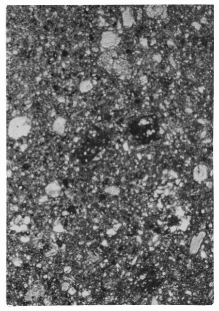 Black and white Thin Section photograph of Apollo 14 Sample(s) 14049,9.
