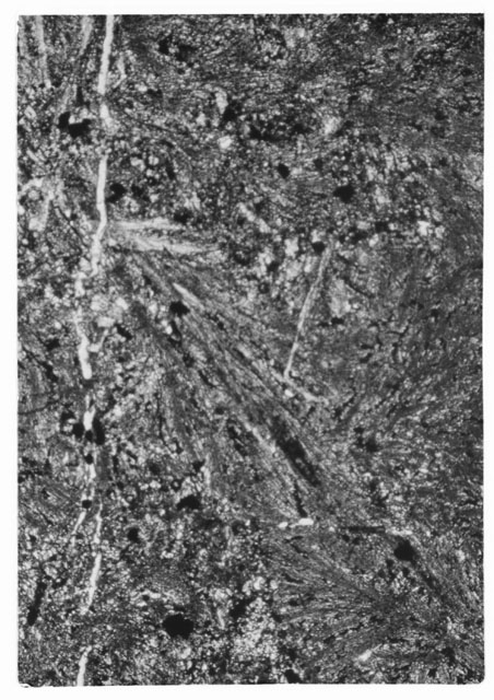 Black and white Thin Section photograph of Apollo 14 Sample(s) 14301,12 using cross nichols light.