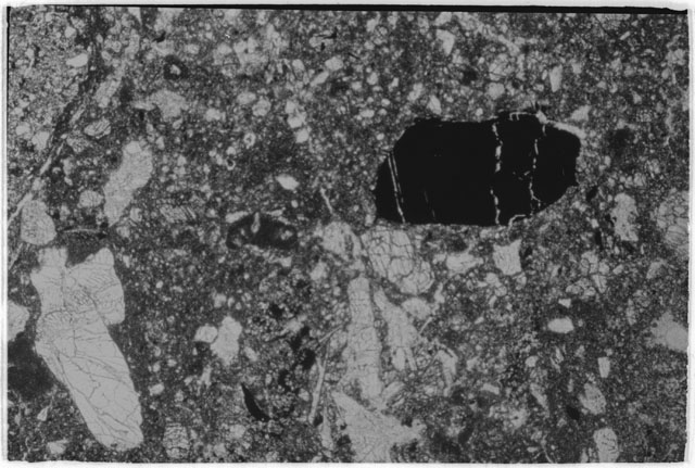 Black and white Thin Section photograph of Apollo 14 Sample(s) 14305,5 using transmitted light.
