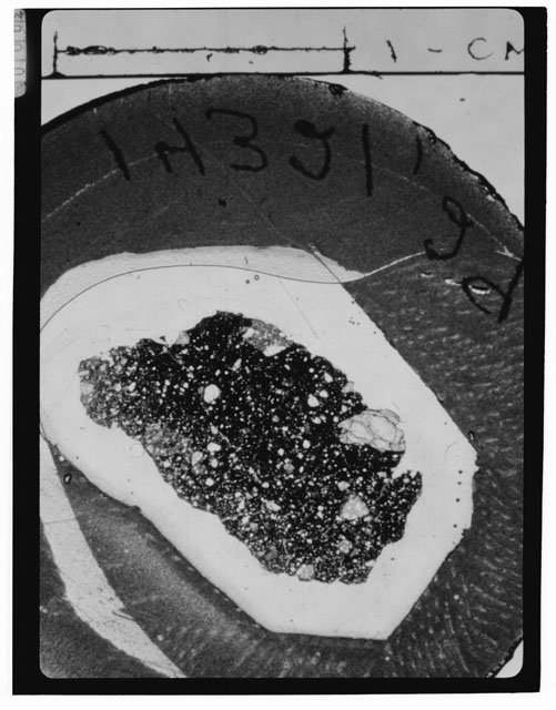 Black and White Thin Section Photo of Apollo 14 Sample 14321,29
