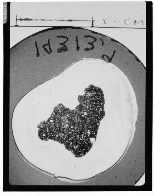 Black and white Thin Section photograph of Apollo 14 Sample(s) 14313,9.