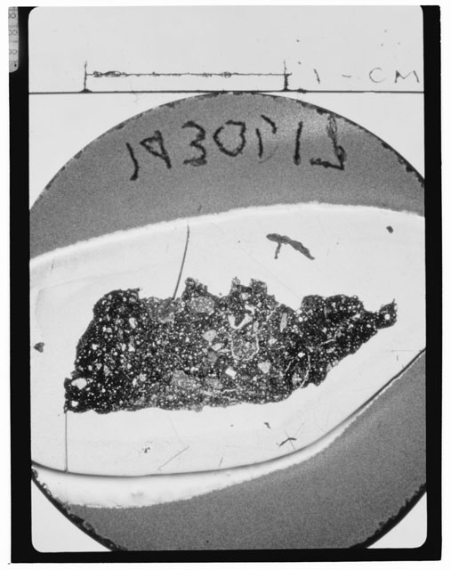 Black and white Thin Section photograph of Apollo 14 Sample(s) 14301,17.