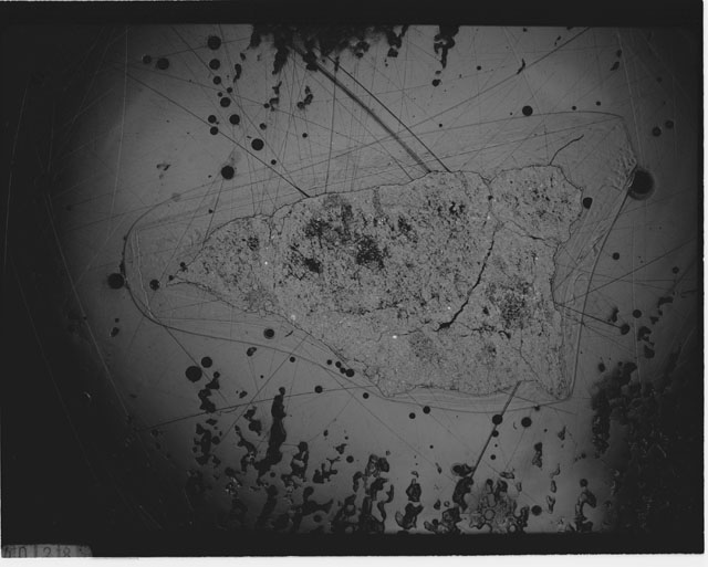 Black and white Thin Section photograph of Apollo 14 Sample(s) 14307,17.