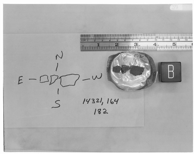 Black and White Processing Photo of Apollo 14 Sample 14321,164