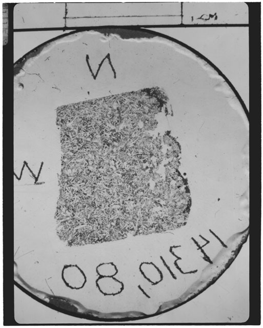 Black and white Thin Section photograph of Apollo 14 Sample(s) 14310,80.
