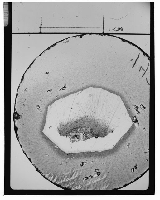 Black and White Thin Section Photo of Apollo 14 Sample 14321,216