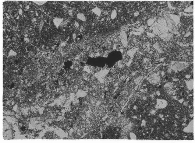 Black and White Thin Section Photo of Apollo 14 Sample 14305