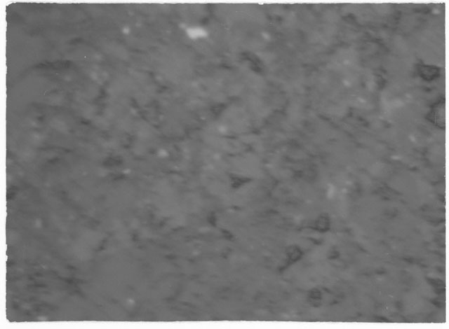 Black and White Thin Section Photo of Apollo 14 Sample 14305