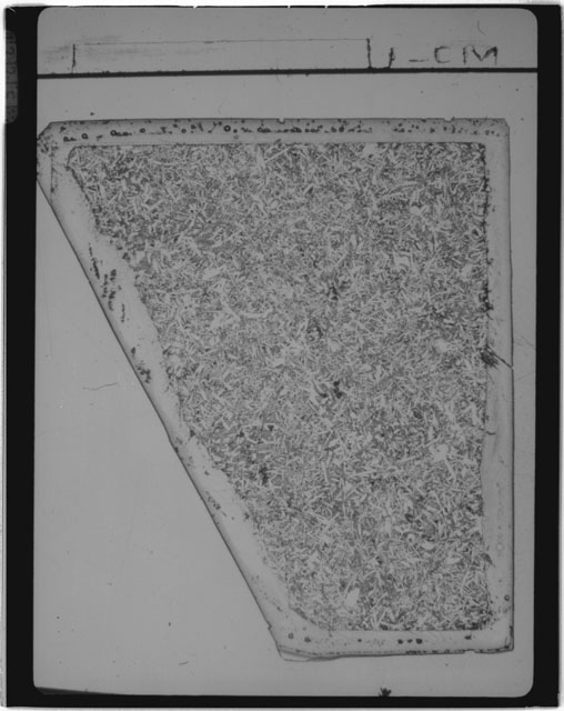 Black and white Thin Section photograph of Apollo 14 Sample(s) 14310,173 using transmitted light.