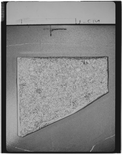 Black and white Thin Section photograph of Apollo 14 Sample(s) 14310,169 using transmitted light.